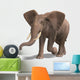 Huge Elephant Wall Decal