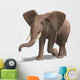 Huge Elephant Wall Decal