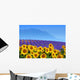 Lavender and Sunflowers Wall Decal