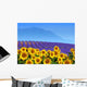 Lavender and Sunflowers Wall Decal
