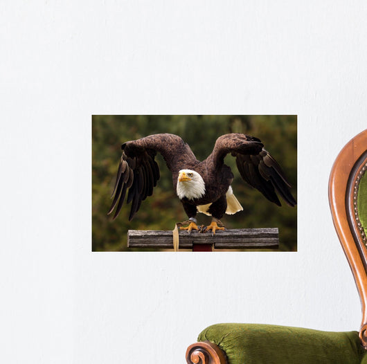Ready Set Wall Decal