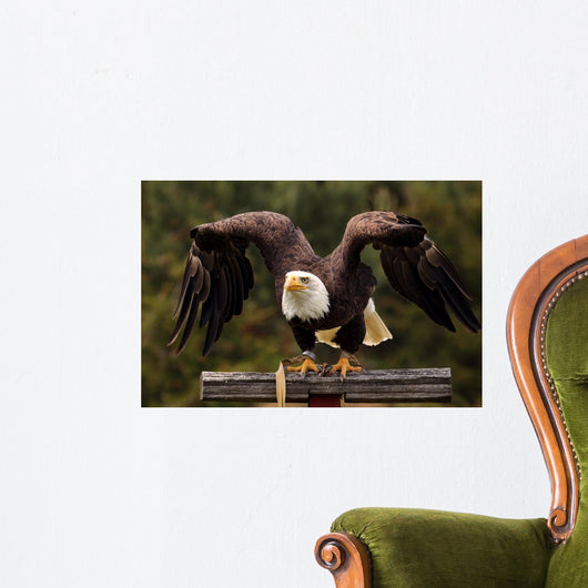 Ready Set Wall Decal