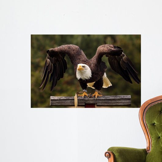 Ready Set Wall Decal