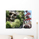 Pirate Ship and Skull Wall Decal