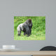 Male Silver-back Gorilla Wall Decal