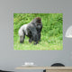 Male Silver-back Gorilla Wall Decal
