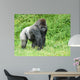 Male Silver-back Gorilla Wall Decal