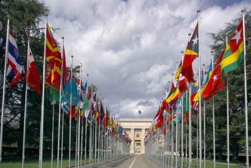 Many National Flags Un Wall Decal