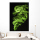 Green Smoke Wall Decal