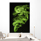 Green Smoke Wall Decal