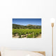 Vineyard with Gordes Wall Decal
