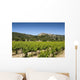 Vineyard with Gordes Wall Decal