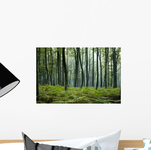 Forest Wall Decal Design 7