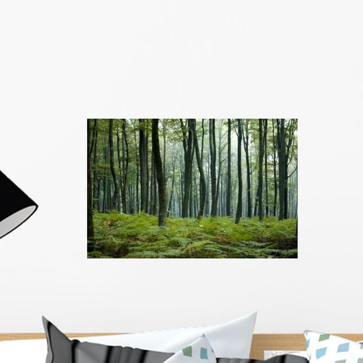Forest Wall Decal Design 7