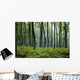 Forest Wall Decal Design 7