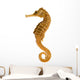 Photo Realistic Seahorse Wall Decal