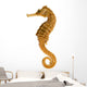 Photo Realistic Seahorse Wall Decal