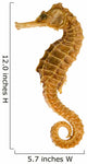 Photo Realistic Seahorse Wall Decal