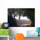 Country Road Wall Decal