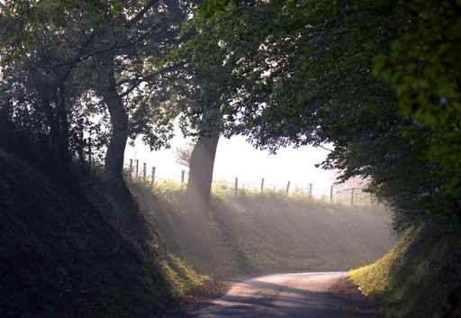 Country Road Wall Decal