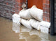 Flood Defenses Wall Decal