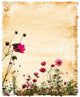 Flower Wall Decal Design 2