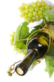Wine Bottle Grape Vine Wall Decal