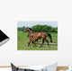 Running Horses Wall Decal