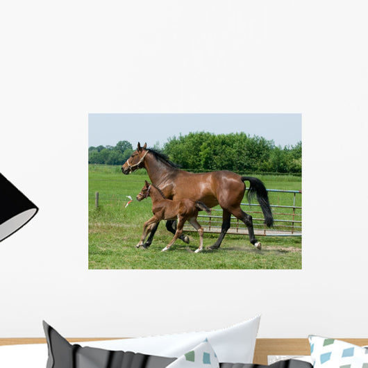 Running Horses Wall Decal