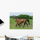 Running Horses Wall Decal