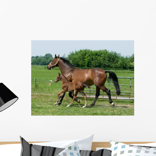 Running Horses Wall Decal