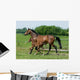 Running Horses Wall Decal