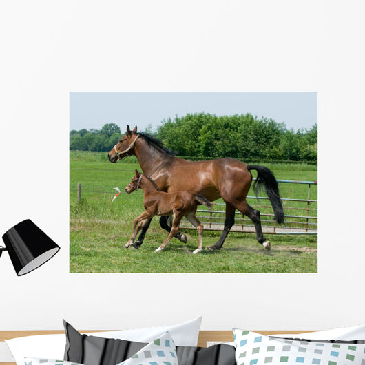 Running Horses Wall Decal