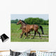 Running Horses Wall Decal