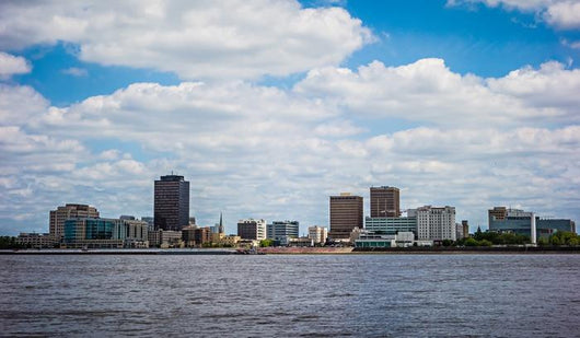 Baton Rouge Downtown Skyline Wall Decal