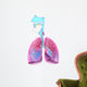 Respiratory System Anatomy Wall Decal