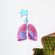 Respiratory System Anatomy Wall Decal