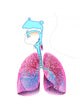 Respiratory System Anatomy Wall Decal