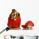 Dog and Cat Playing Wall Decal