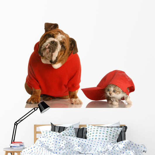Dog and Cat Playing Wall Decal