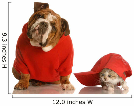 Dog and Cat Playing Wall Decal