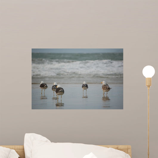 Birds Wall Decal