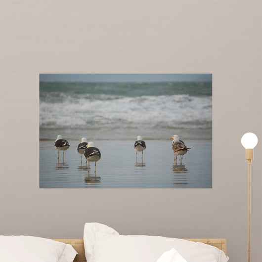 Birds Wall Decal