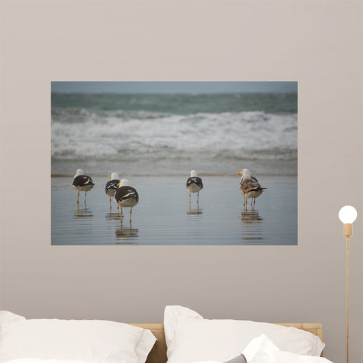 Birds Wall Decal
