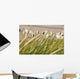 Strandschilf im Wind Vor Wall Decal