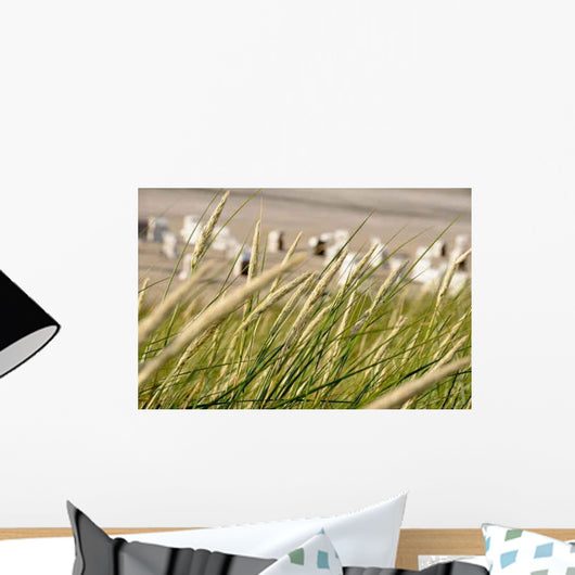 Strandschilf im Wind Vor Wall Decal