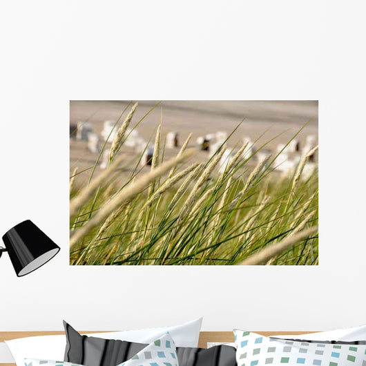 Strandschilf im Wind Vor Wall Decal