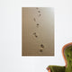 Footprints Sand Wall Decal Design 4