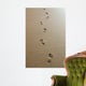 Footprints Sand Wall Decal Design 4