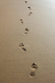 Footprints Sand Wall Decal Design 4